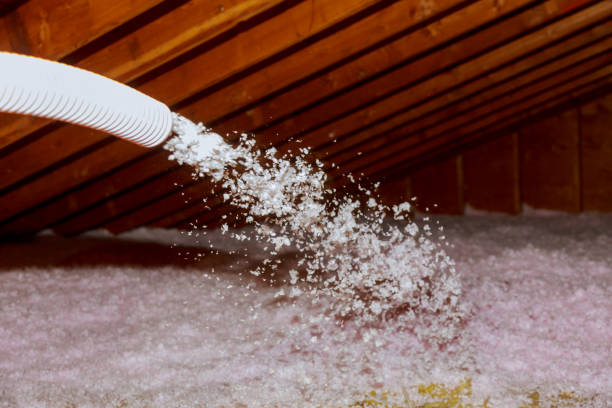 Best Local Insulation Services  in USA